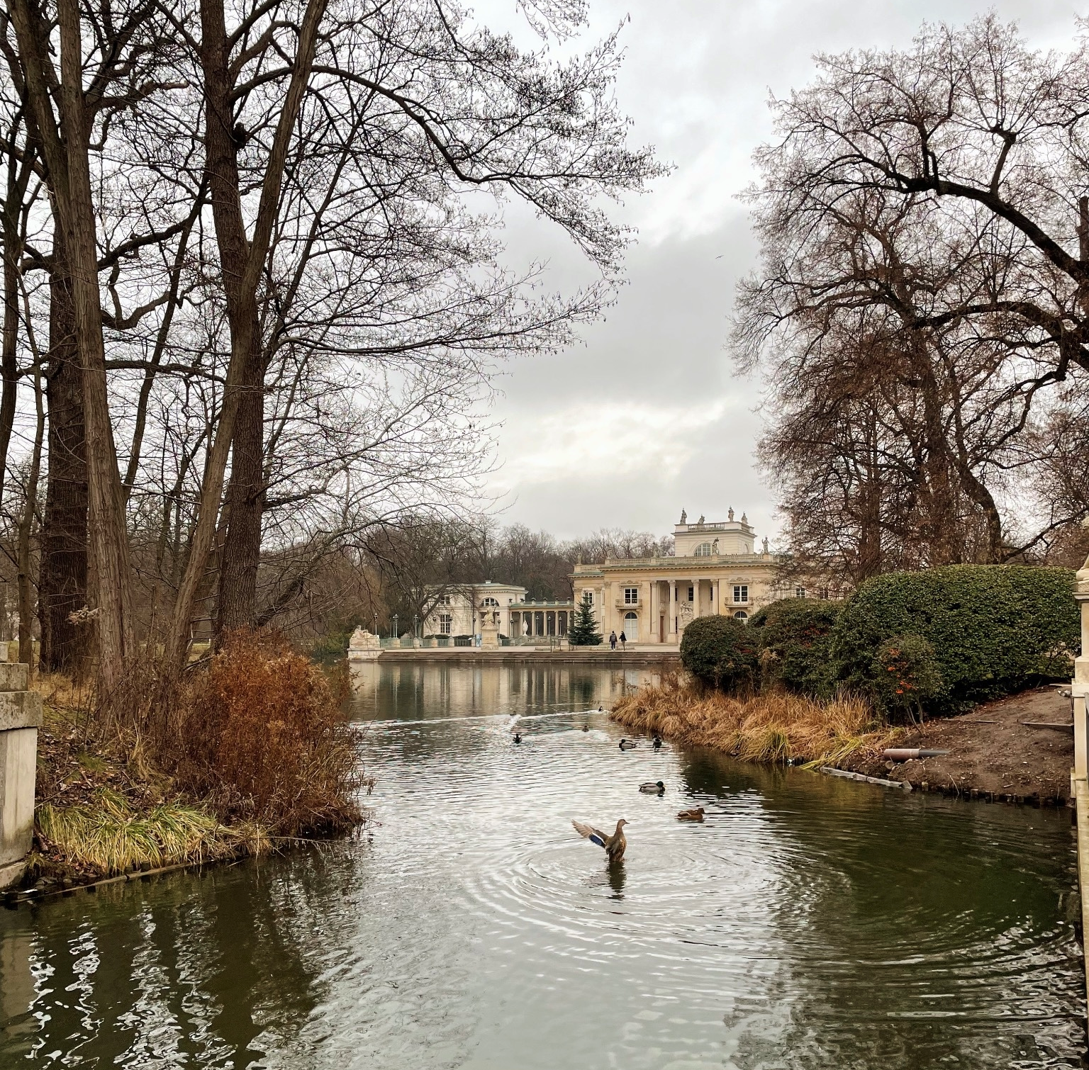 Royal Łazienki Park, Warsaw