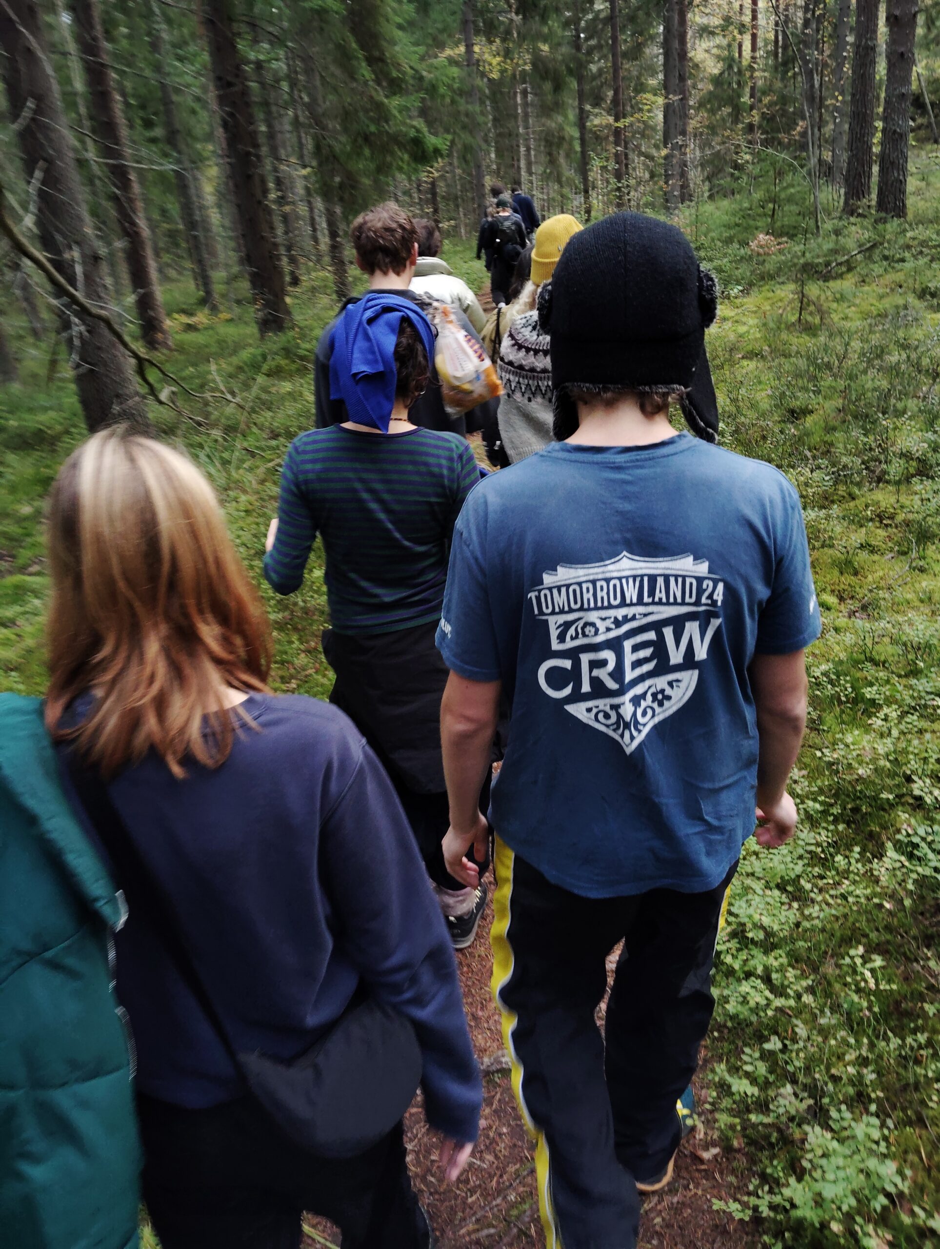 Trekking through the forests of east Finland